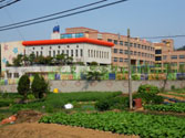 Songhyeon Elementary School (Chris Kadlec)